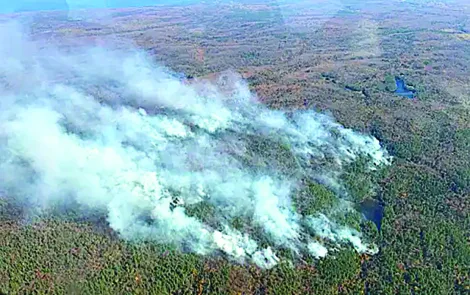 Wildfires in the UP